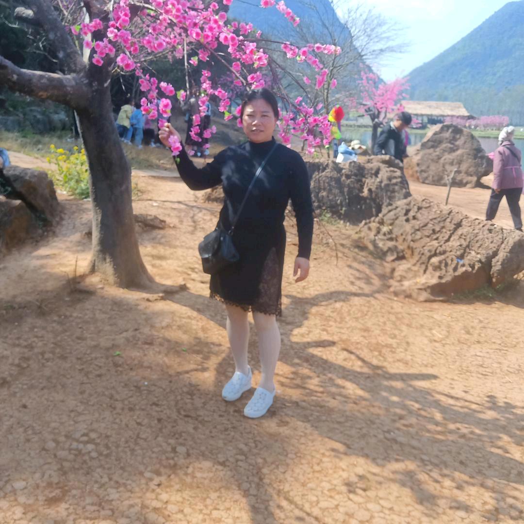 云南翠姐🌸