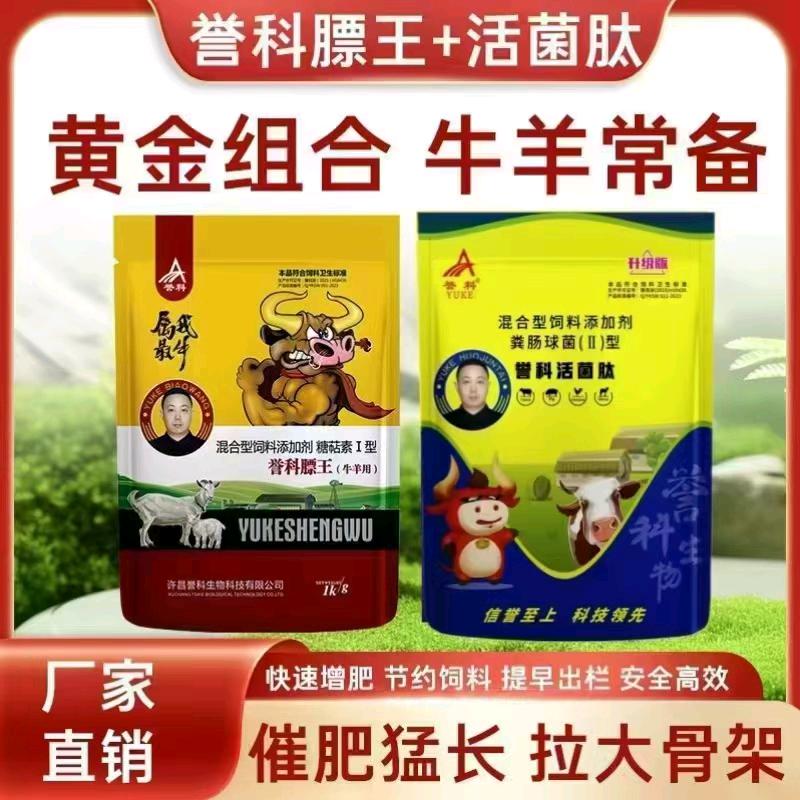 誉科膘王源头厂家王红