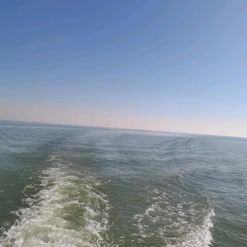 送你一个收款码