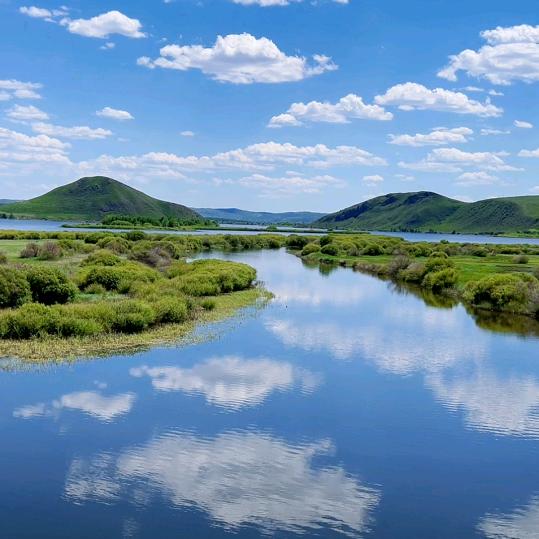 一花一世界一叶一菩提