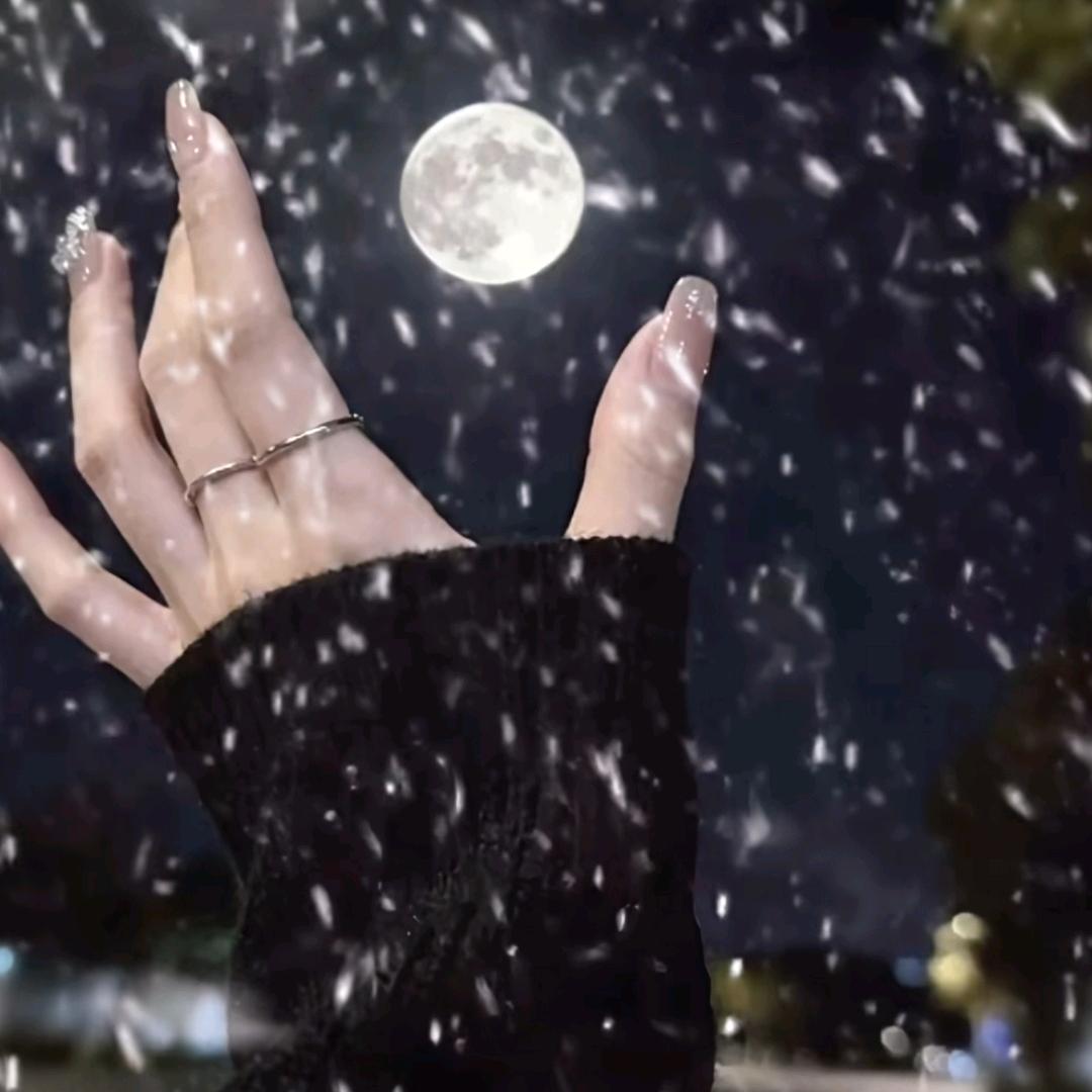 小微(๑•̌.•̑๑)ˀ̣ˀ̣