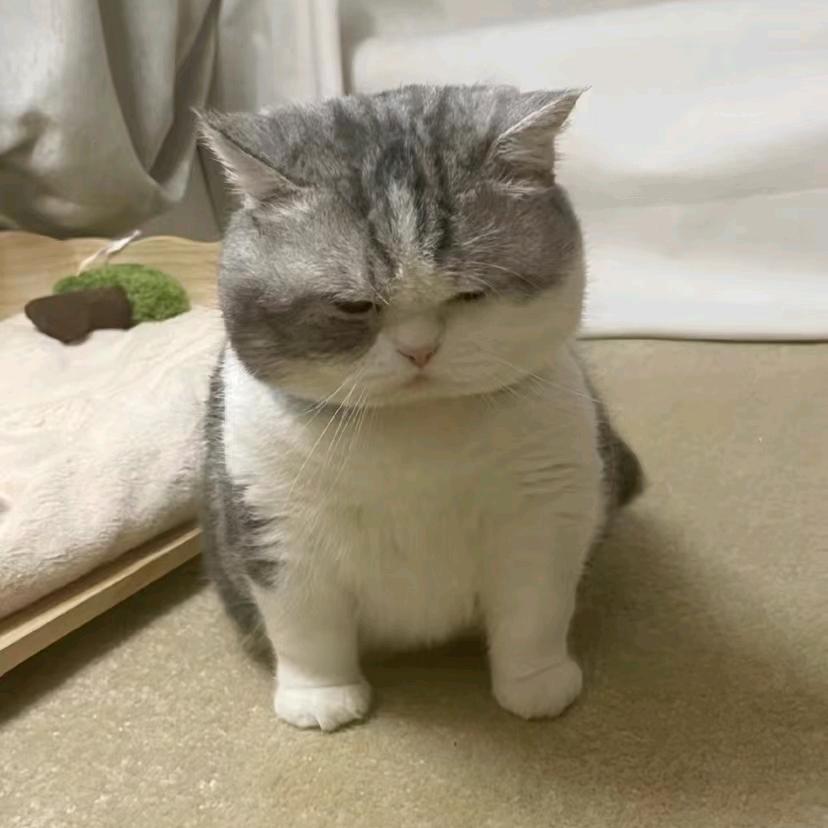 晓玲杂货铺