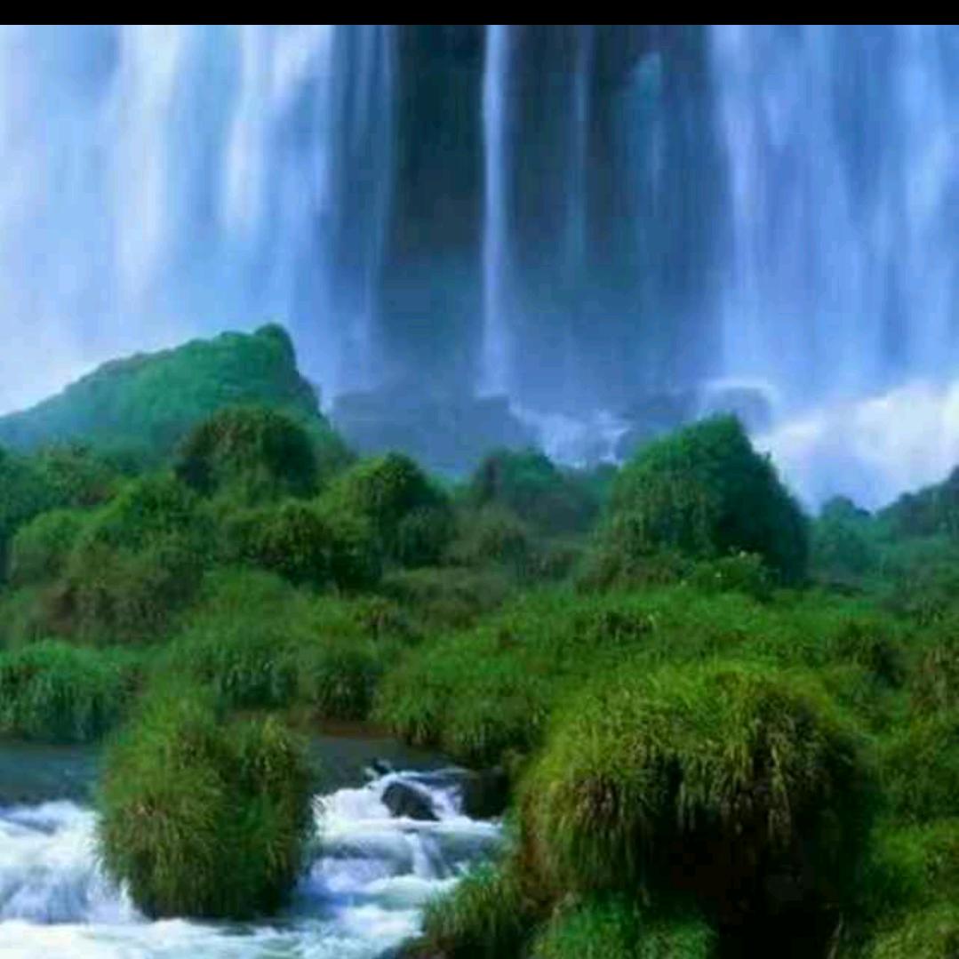 安微海珑食品麻辣豆