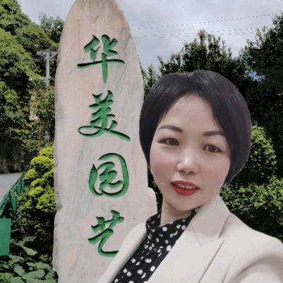 华美盆景桩园