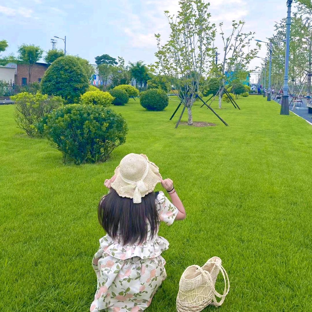 奶味曲奇