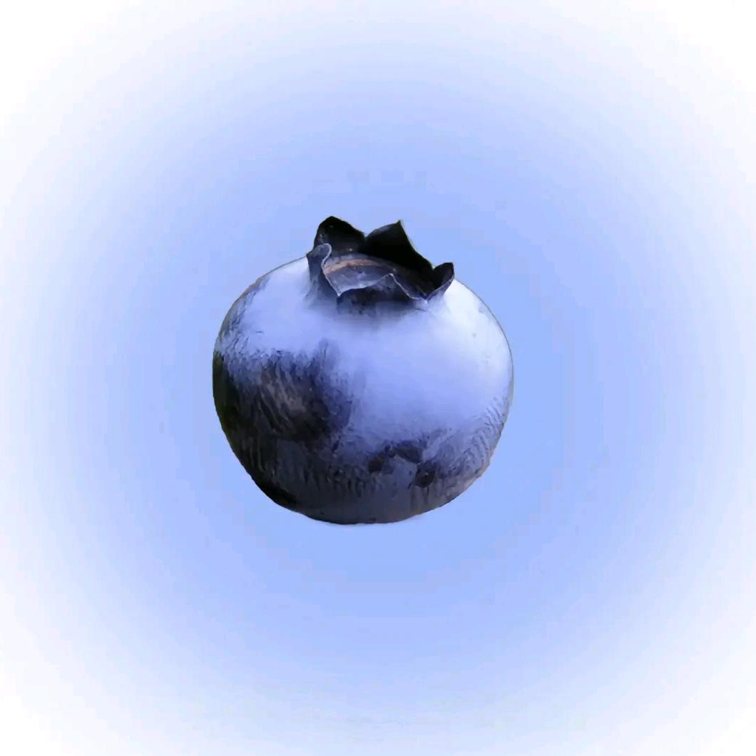 RL 素素素