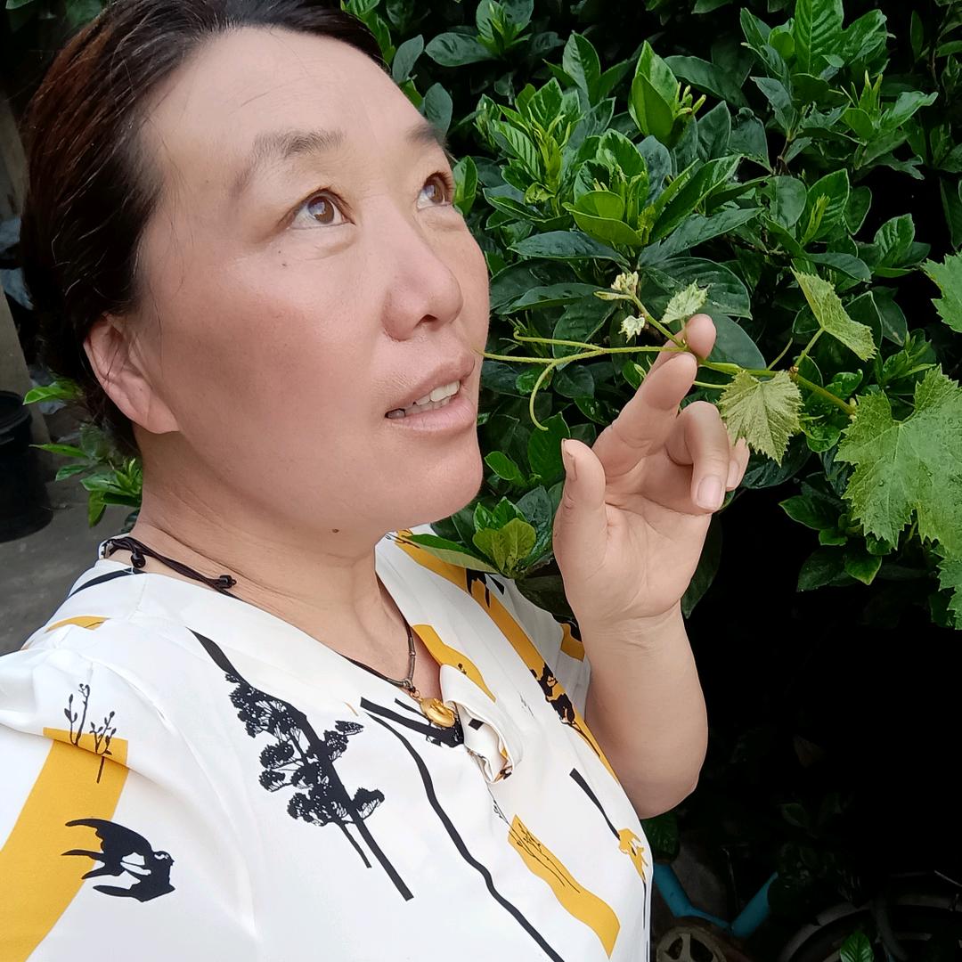 婉若清风