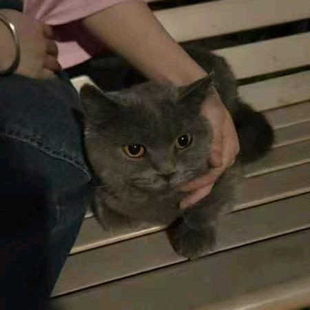 ℯ⃝晚风似温柔