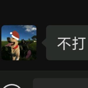 不打