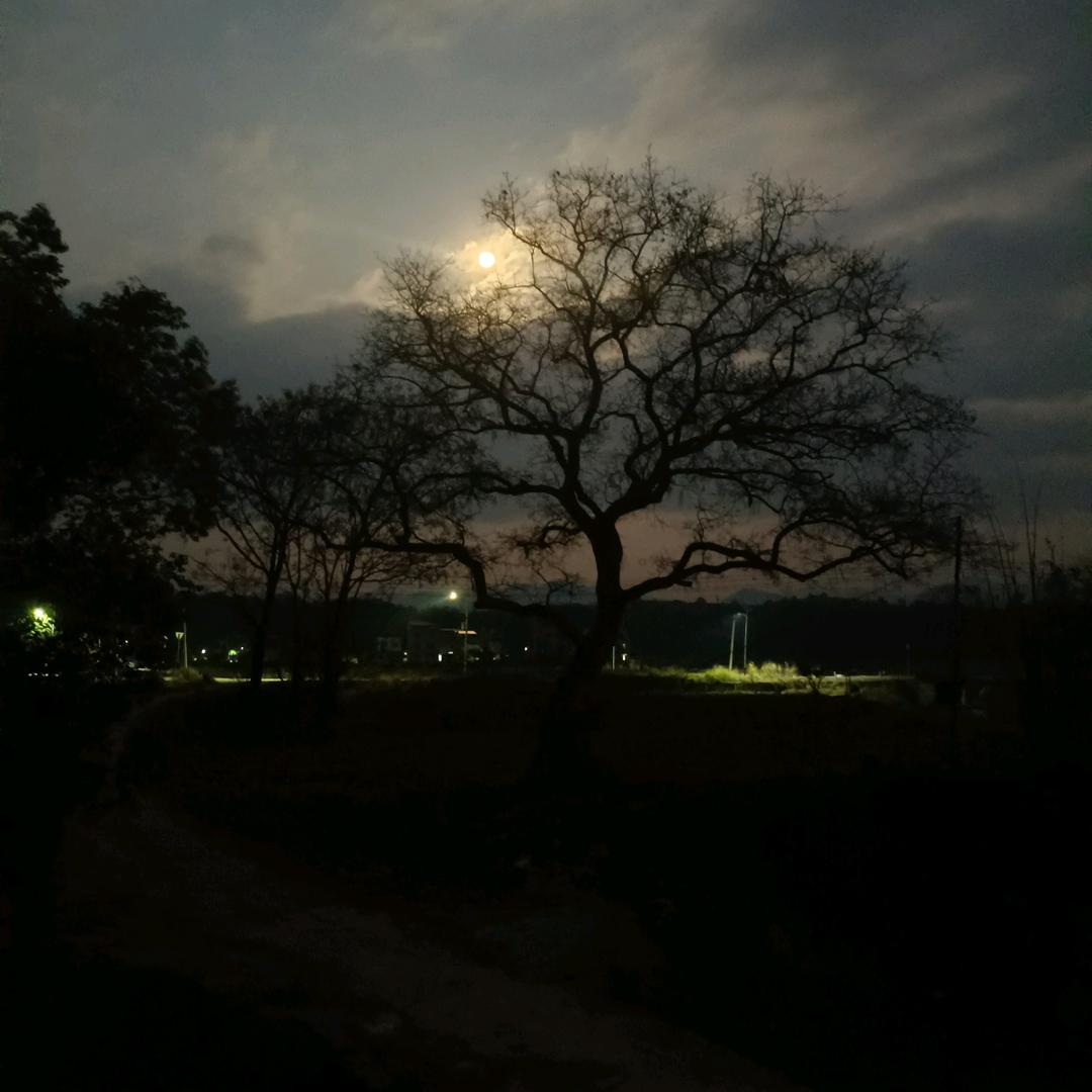 蚀龙