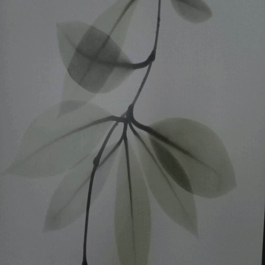 只～宠～你～一～人🌿