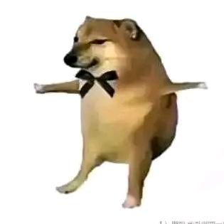 青涩后妈
