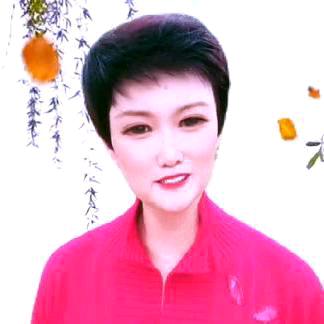 俪达
