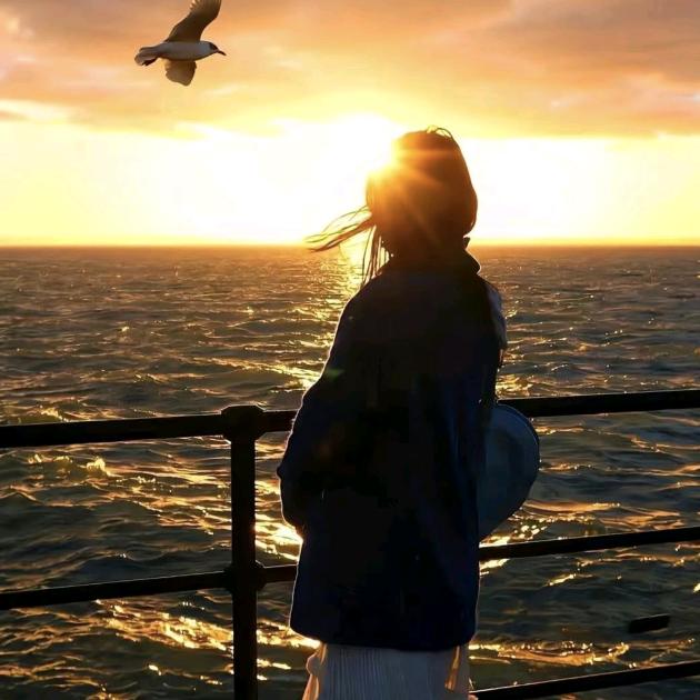 提拉米苏不苏了