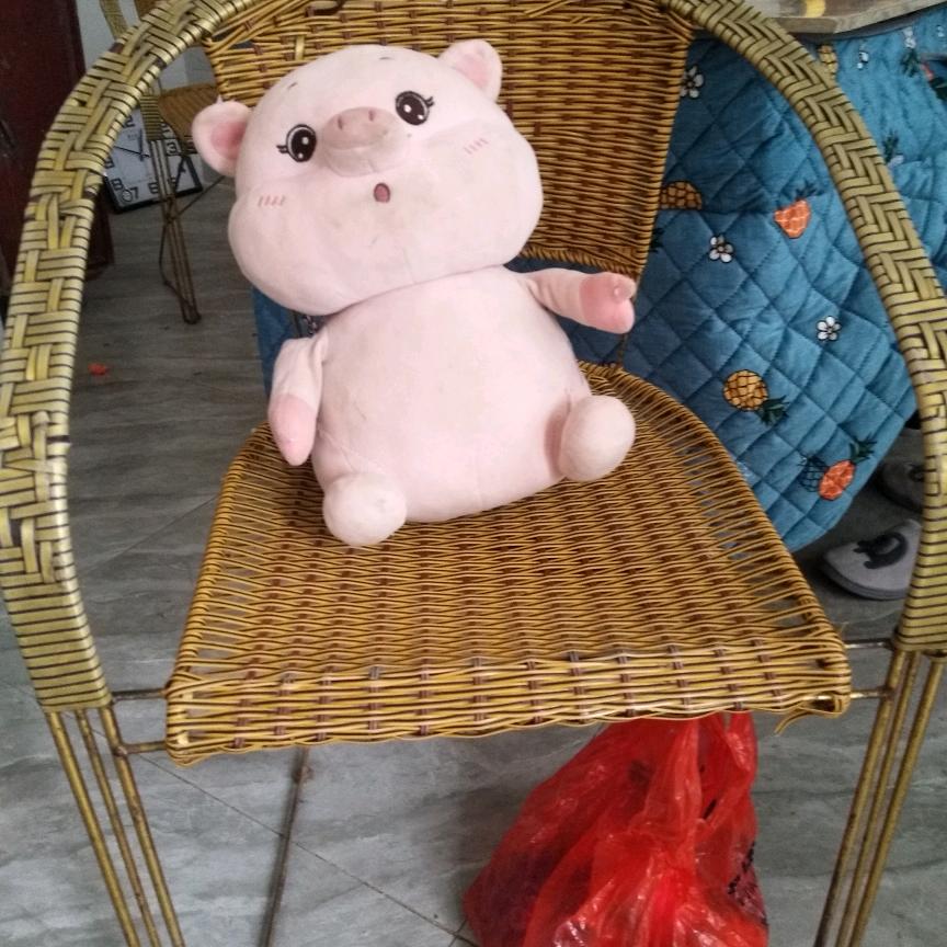 护士