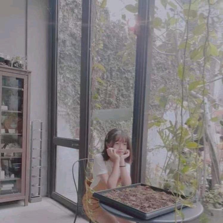 卤蛋&