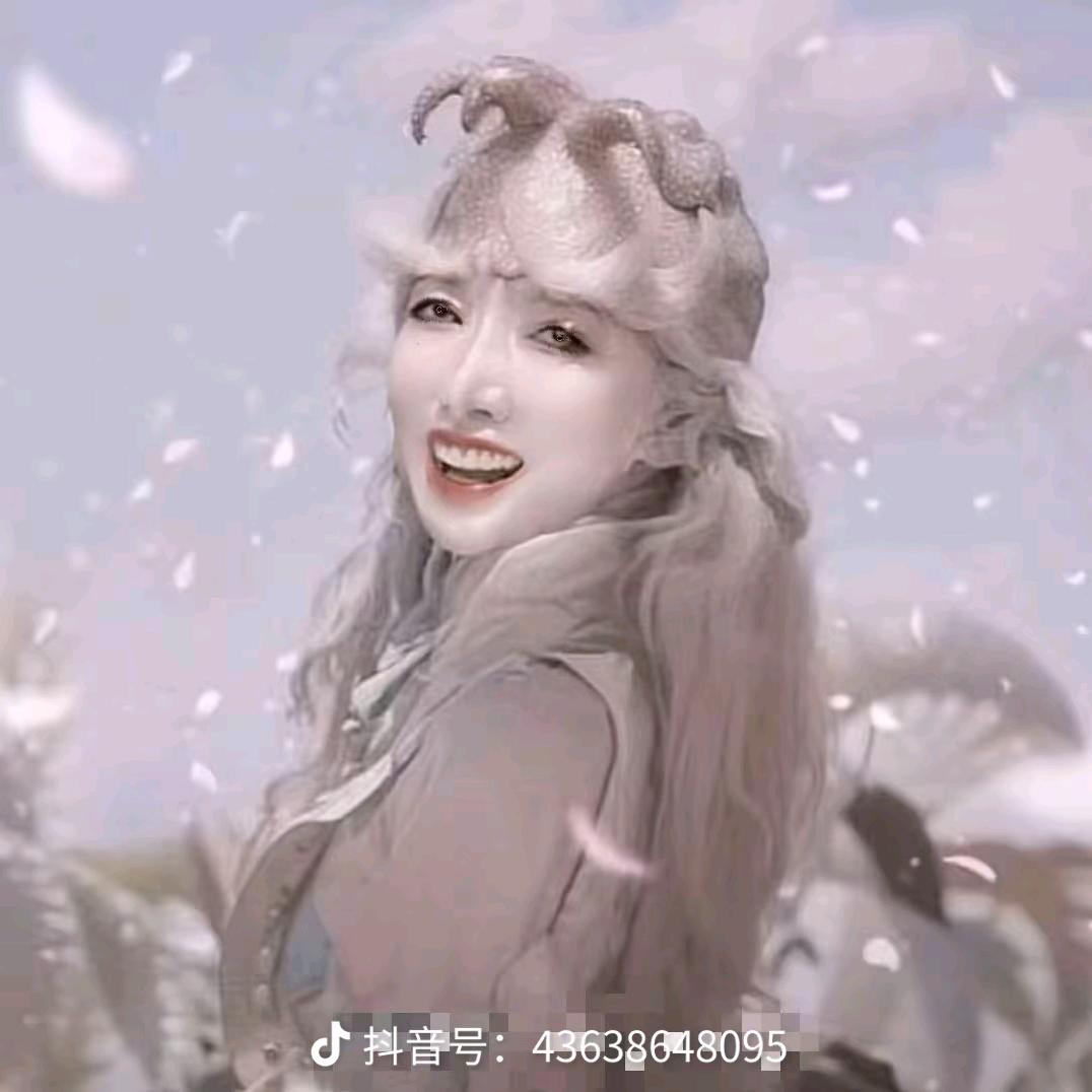@彬彬🐍