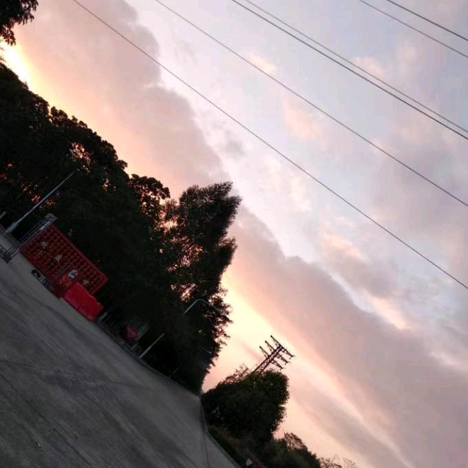 正高兴🌺高兴🌺