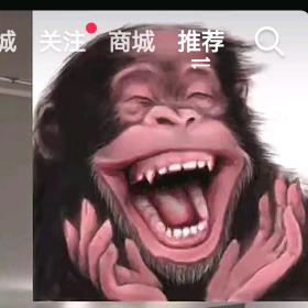 &๑乛v乛๑嘿嘿