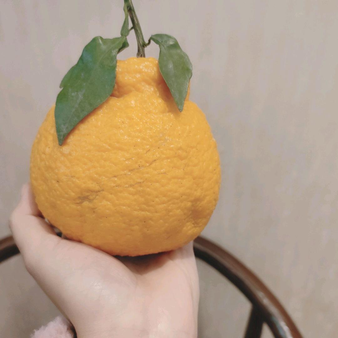 橄榄🫒