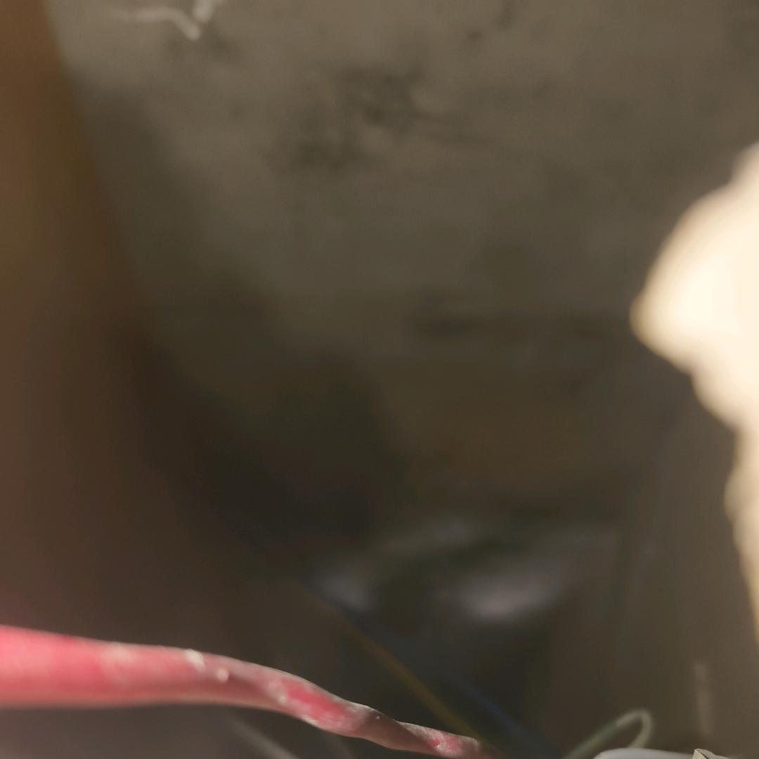 王阳明