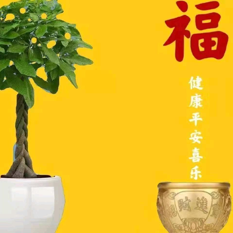 志在四方3949