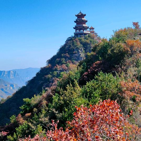 不忘初心，牢记使命