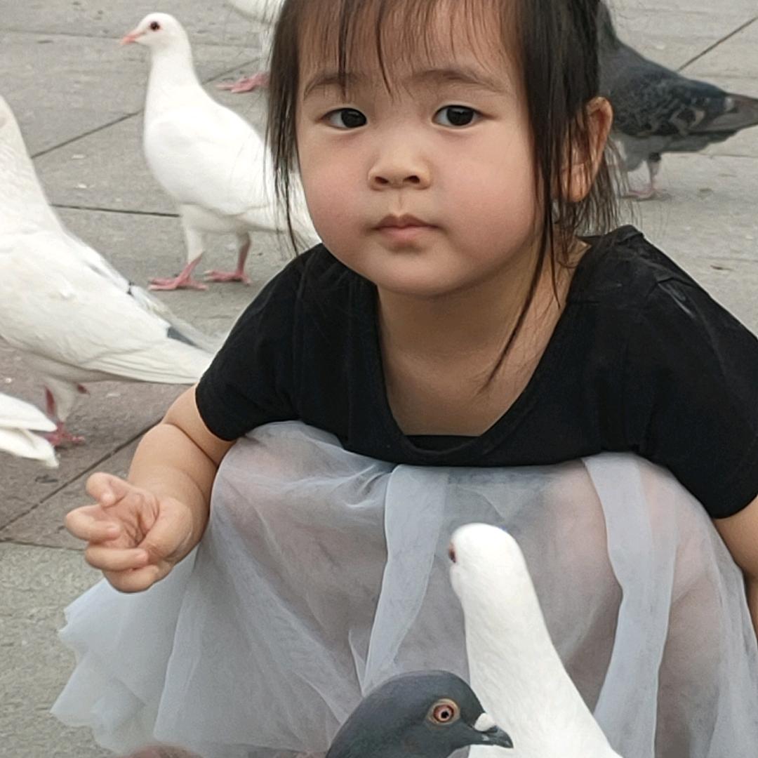 有运