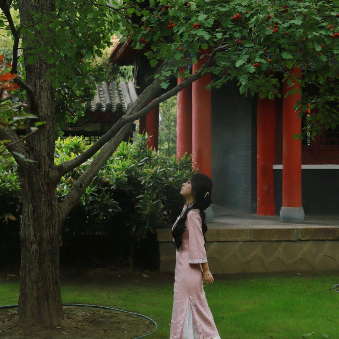 梨花白