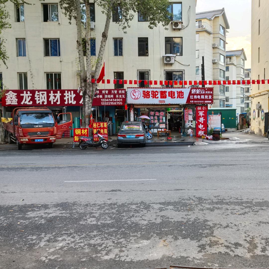 桓仁军哥骆驼电瓶