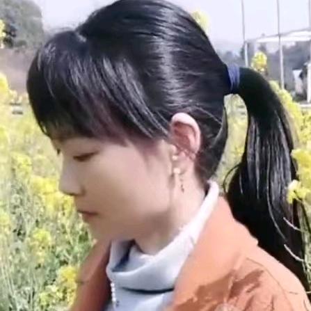 橘橙甜蜜茶飘香