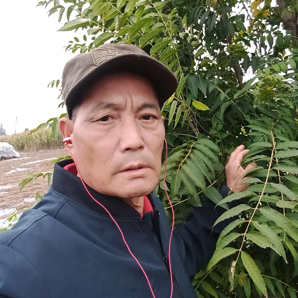 诚实坤哥🎤🕺🏻🌸🌹