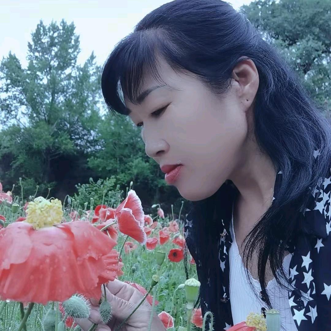 ꧁雨墨清荷꧂