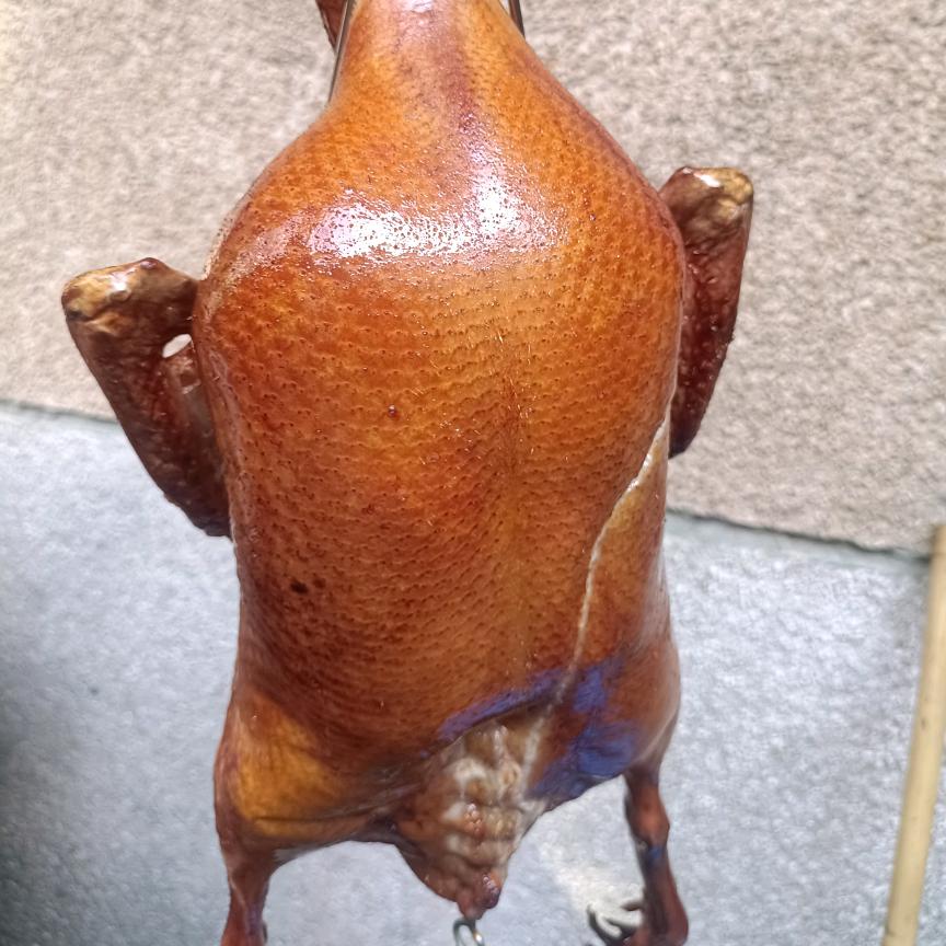 (蒙山鸭司令)品牌烧鸭店