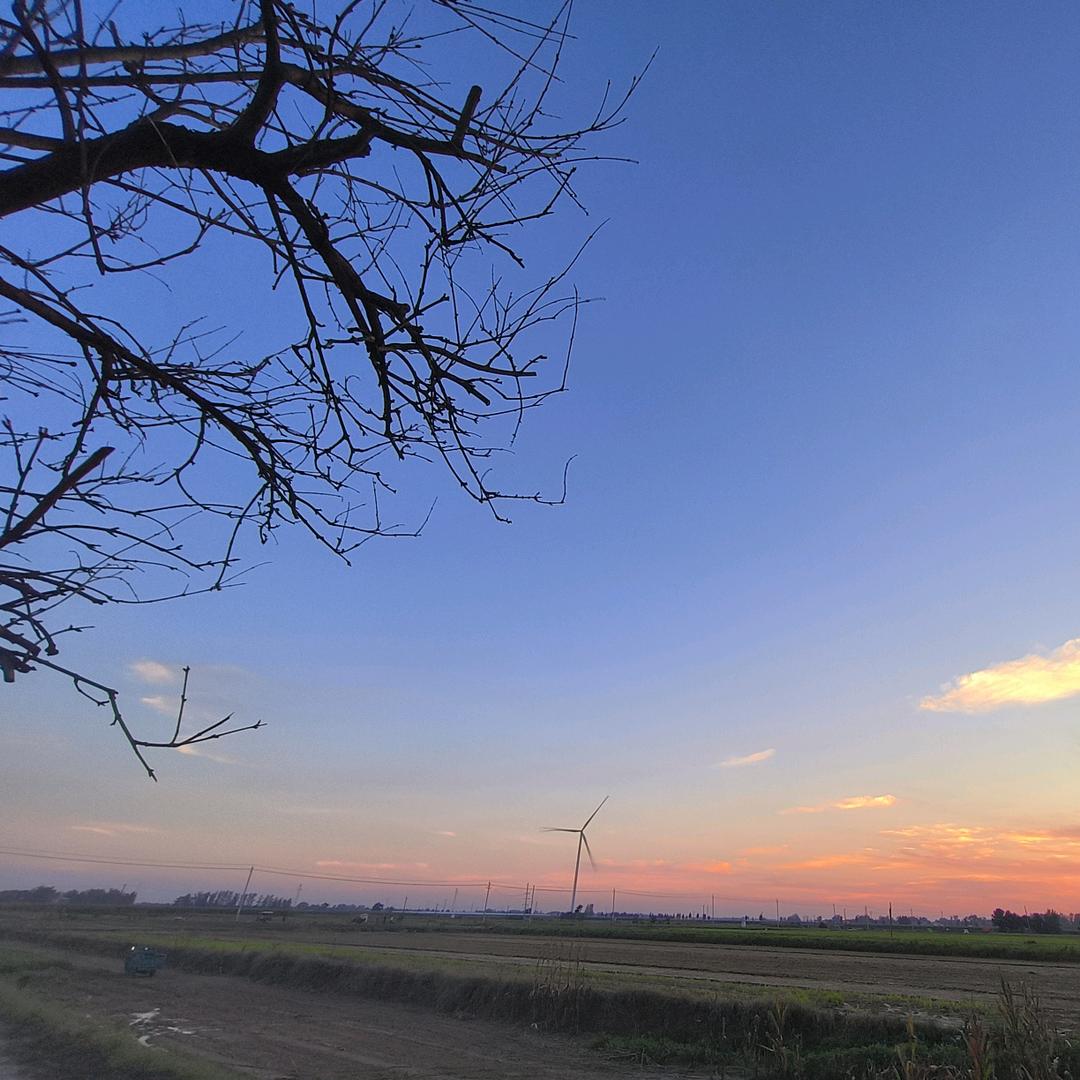 糖果🍬是柠檬味的