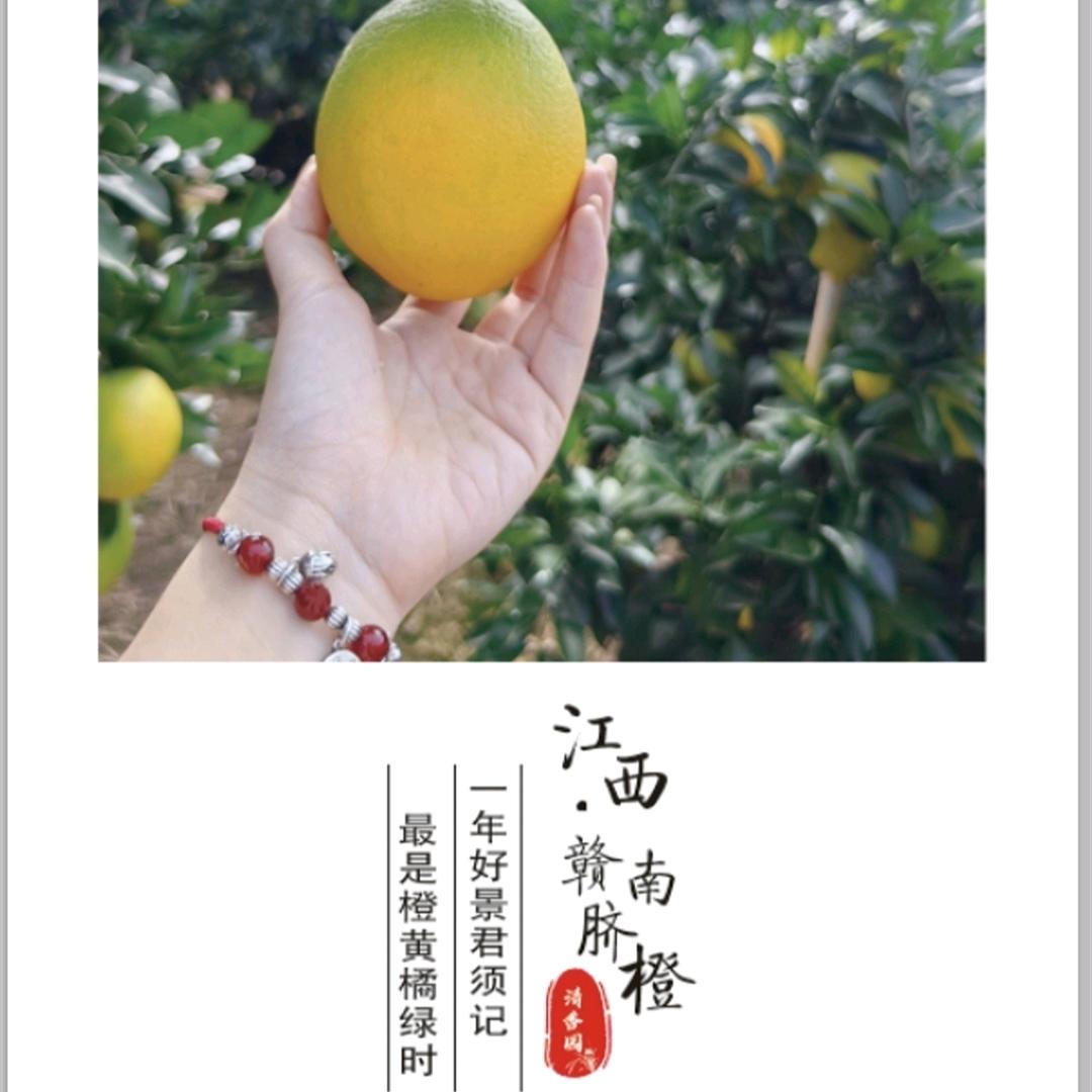 香如故🍊