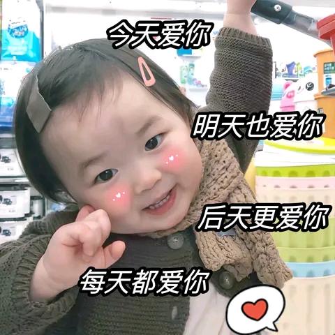 花晨月夕
