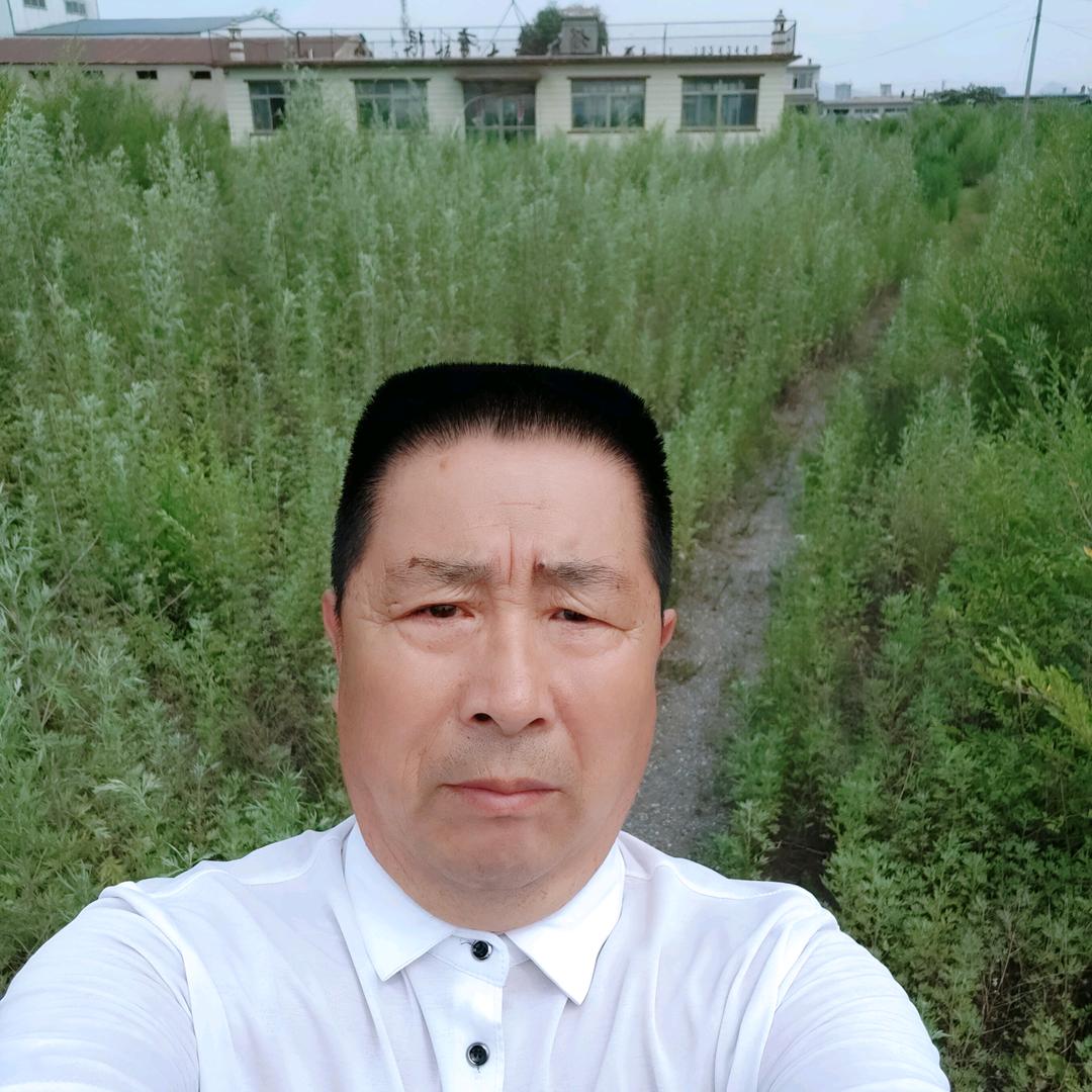 侯震看风