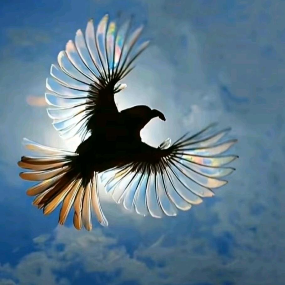 一块石头两斤藕三只眼睛牵条狗