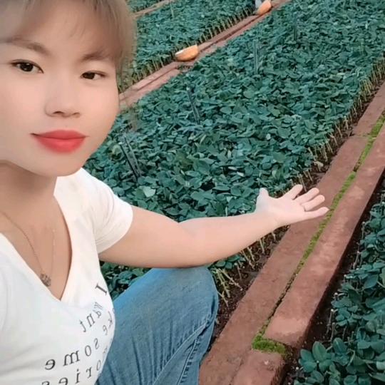 呈贡区窕现花卉经营部