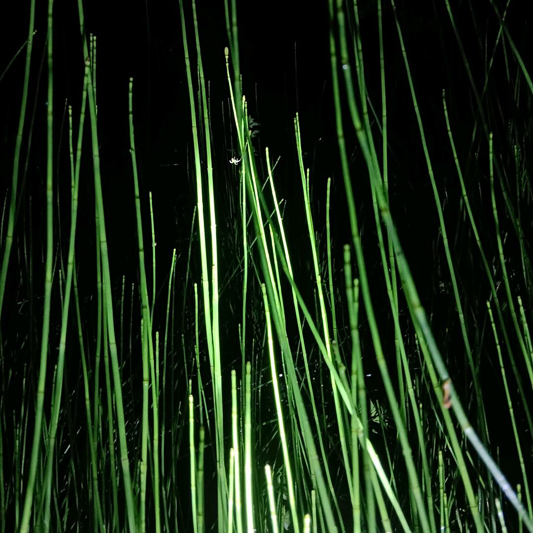 €💰谋财ིジ悦己ྀ༆