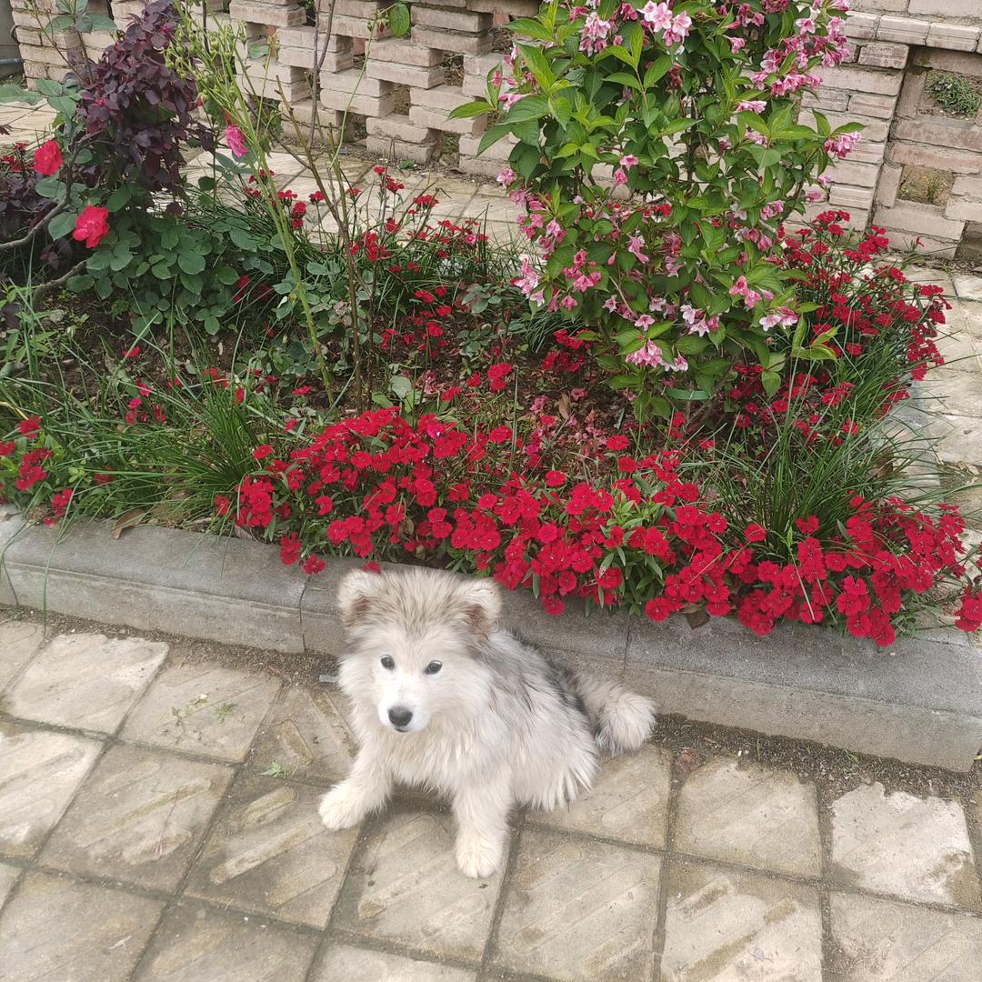清愁