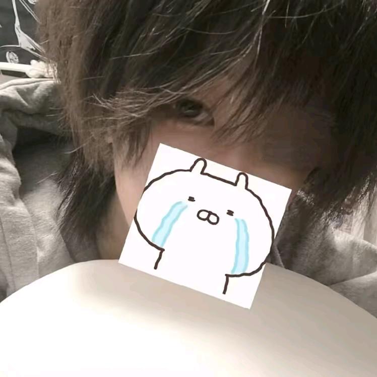 窝系呆