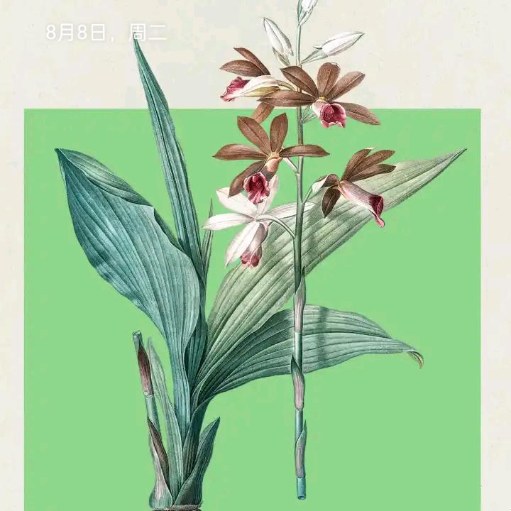 冒险……小五