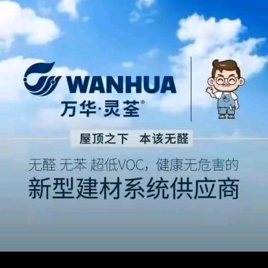 一个想改销售的会计