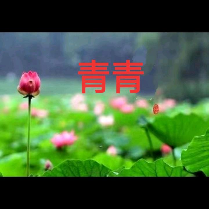 青青