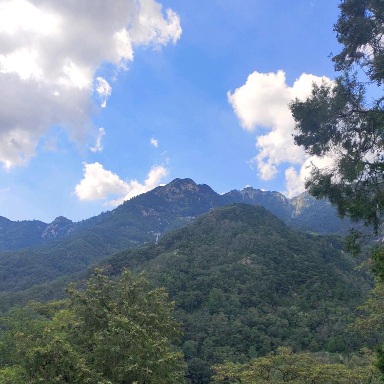 刘姐结缘大号