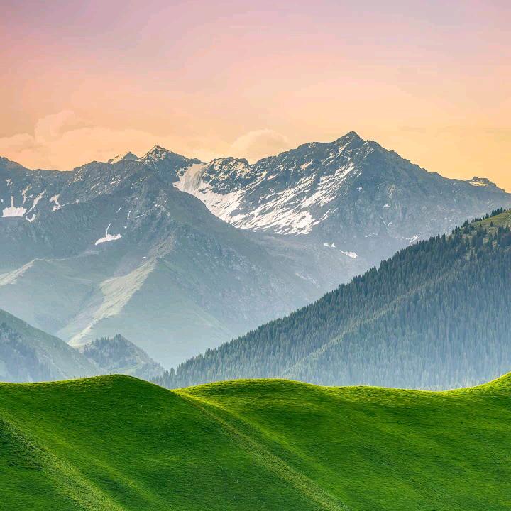 1688旗舰店滋补专场