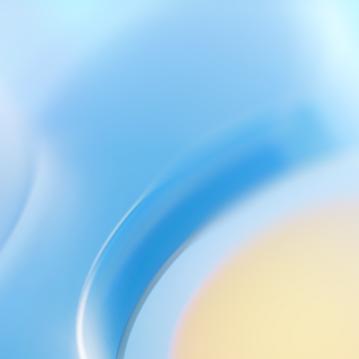 八桂