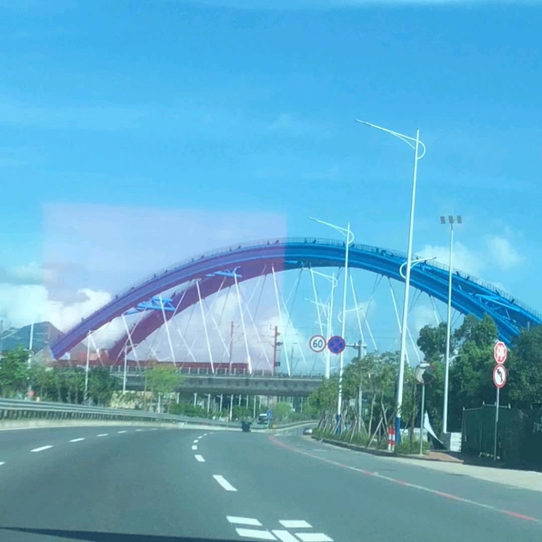 不离不弃